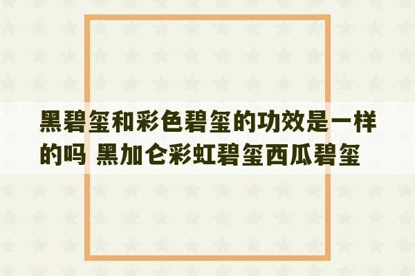 黑碧玺和彩色碧玺的功效是一样的吗 黑加仑彩虹碧玺西瓜碧玺-第1张图片-文玩群