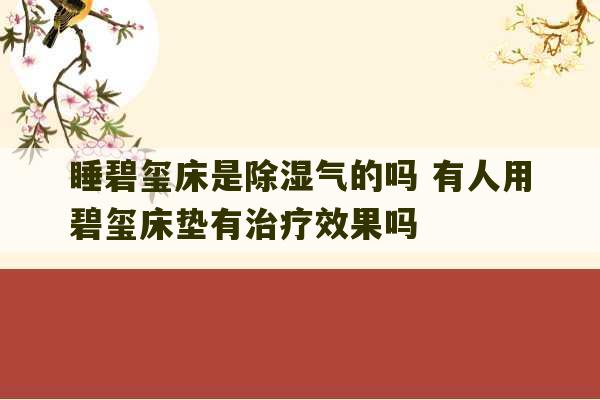 睡碧玺床是除湿气的吗 有人用碧玺床垫有治疗效果吗-第1张图片-文玩群