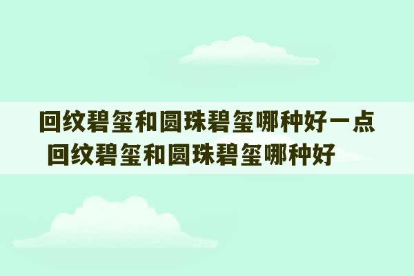 回纹碧玺和圆珠碧玺哪种好一点 回纹碧玺和圆珠碧玺哪种好-第1张图片-文玩群