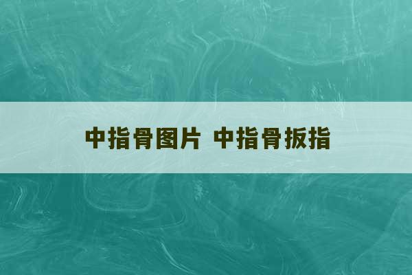 中指骨图片 中指骨扳指-第1张图片-文玩群