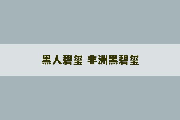 黑人碧玺 非洲黑碧玺-第1张图片-文玩群