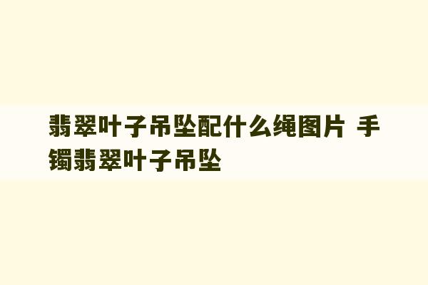 翡翠叶子吊坠配什么绳图片 手镯翡翠叶子吊坠-第1张图片-文玩群