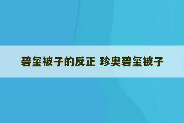 碧玺被子的反正 珍奥碧玺被子-第1张图片-文玩群