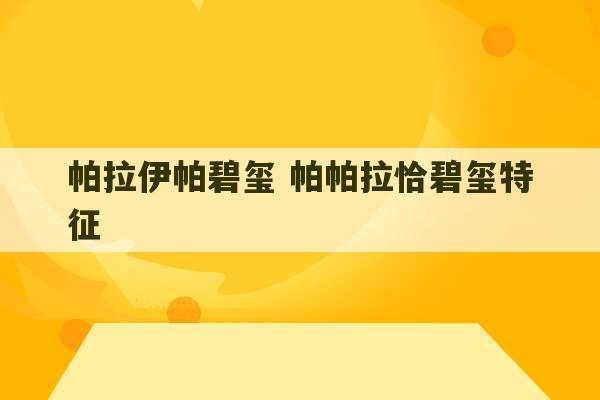 帕拉伊帕碧玺 帕帕拉恰碧玺特征-第1张图片-文玩群