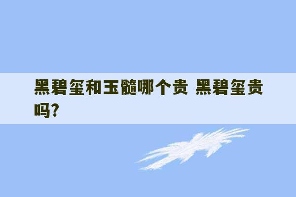 黑碧玺和玉髓哪个贵 黑碧玺贵吗?-第1张图片-文玩群