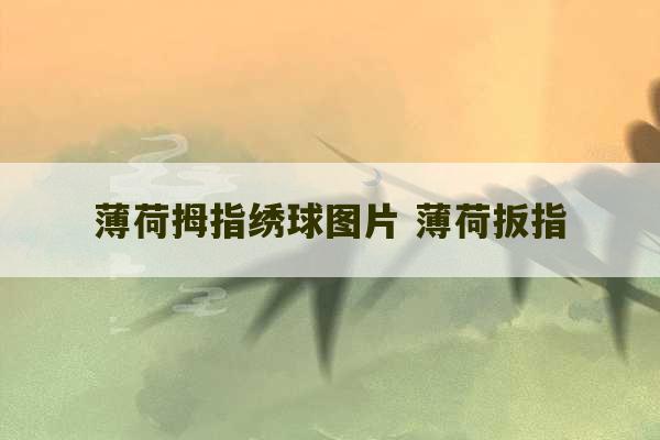 薄荷拇指绣球图片 薄荷扳指-第1张图片-文玩群