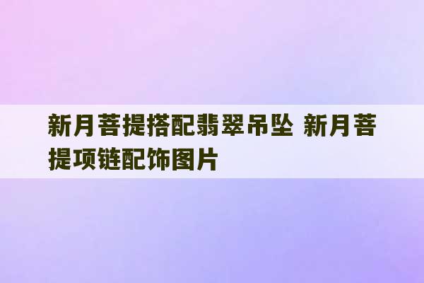 新月菩提搭配翡翠吊坠 新月菩提项链配饰图片-第1张图片-文玩群