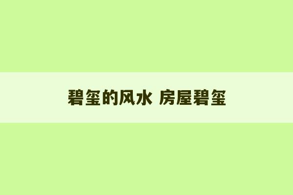 碧玺的风水 房屋碧玺-第1张图片-文玩群