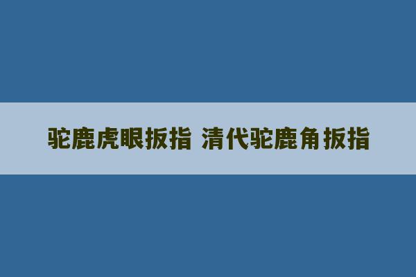 驼鹿虎眼扳指 清代驼鹿角扳指-第1张图片-文玩群