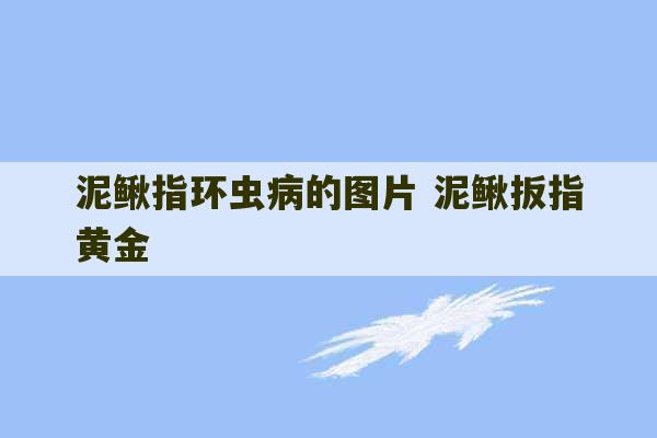 泥鳅指环虫病的图片 泥鳅扳指黄金-第1张图片-文玩群