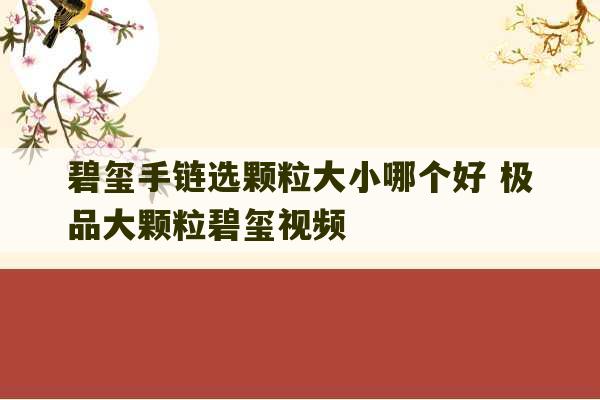 碧玺手链选颗粒大小哪个好 极品大颗粒碧玺视频-第1张图片-文玩群