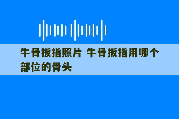 牛骨扳指照片 牛骨扳指用哪个部位的骨头-第1张图片-文玩群