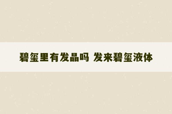 碧玺里有发晶吗 发来碧玺液体-第1张图片-文玩群