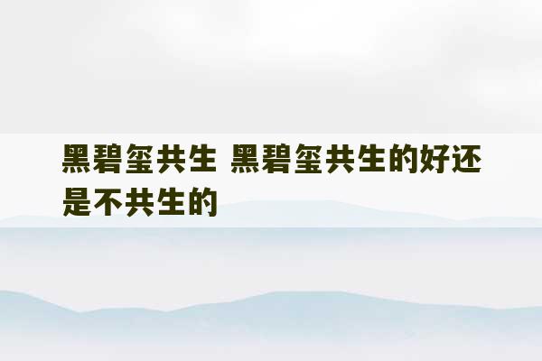 黑碧玺共生 黑碧玺共生的好还是不共生的-第1张图片-文玩群