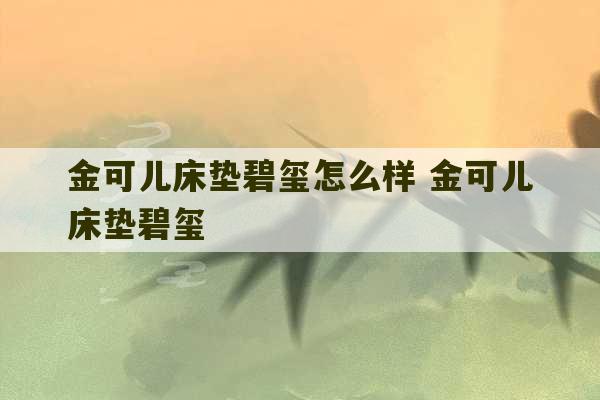 金可儿床垫碧玺怎么样 金可儿床垫碧玺-第1张图片-文玩群