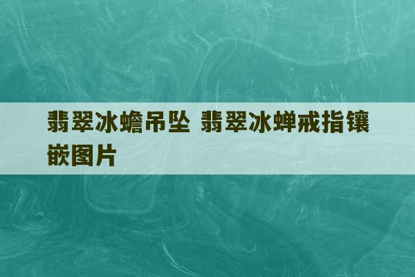 翡翠冰蟾吊坠 翡翠冰蝉戒指镶嵌图片-第1张图片-文玩群