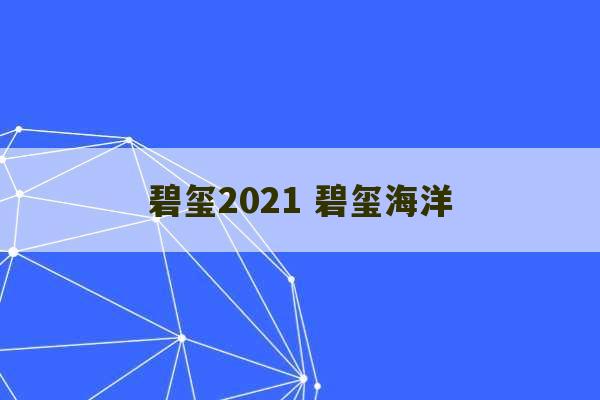 碧玺2021 碧玺海洋-第1张图片-文玩群