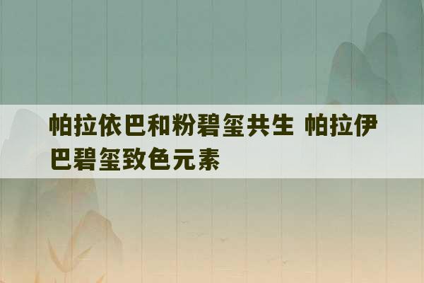 帕拉依巴和粉碧玺共生 帕拉伊巴碧玺致色元素-第1张图片-文玩群