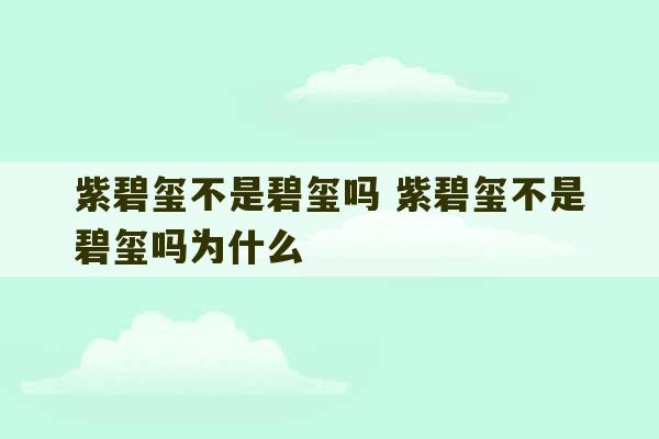 紫碧玺不是碧玺吗 紫碧玺不是碧玺吗为什么-第1张图片-文玩群