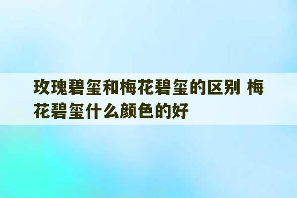 玫瑰碧玺和梅花碧玺的区别 梅花碧玺什么颜色的好-第1张图片-文玩群