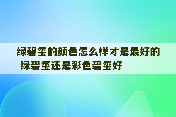 绿碧玺的颜色怎么样才是最好的 绿碧玺还是彩色碧玺好-第1张图片-文玩群