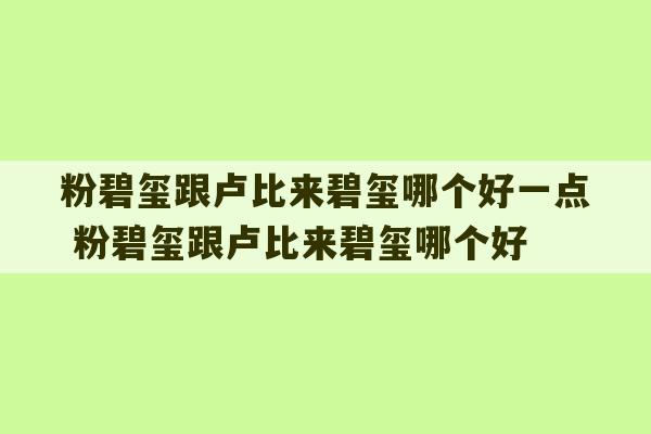 粉碧玺跟卢比来碧玺哪个好一点 粉碧玺跟卢比来碧玺哪个好-第1张图片-文玩群