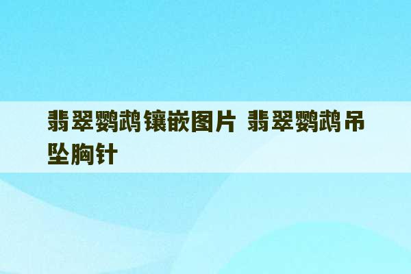 翡翠鹦鹉镶嵌图片 翡翠鹦鹉吊坠胸针-第1张图片-文玩群