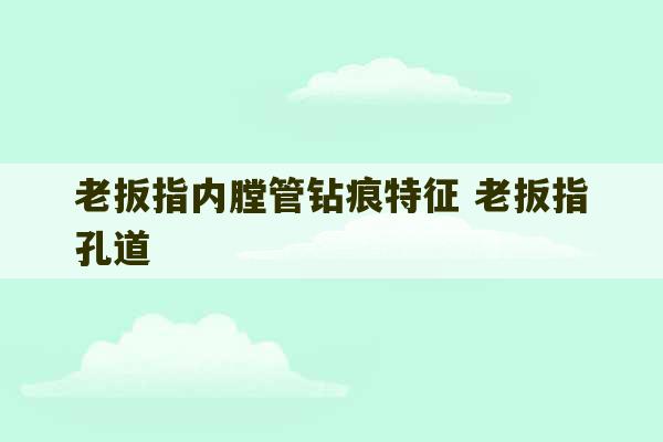 老扳指内膛管钻痕特征 老扳指孔道-第1张图片-文玩群