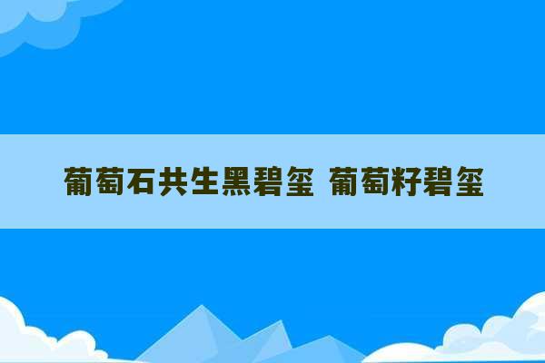 葡萄石共生黑碧玺 葡萄籽碧玺-第1张图片-文玩群