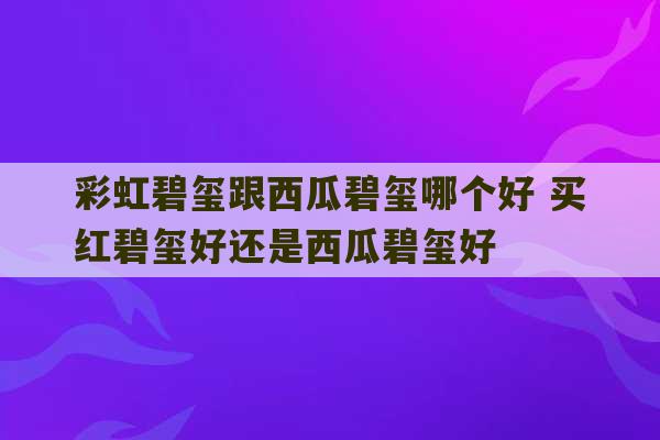 彩虹碧玺跟西瓜碧玺哪个好 买红碧玺好还是西瓜碧玺好-第1张图片-文玩群