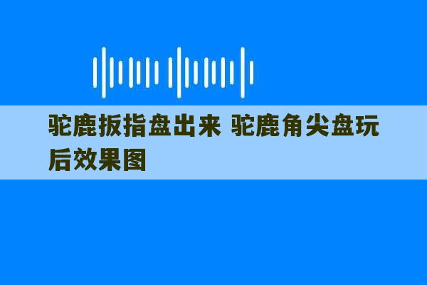 驼鹿扳指盘出来 驼鹿角尖盘玩后效果图-第1张图片-文玩群