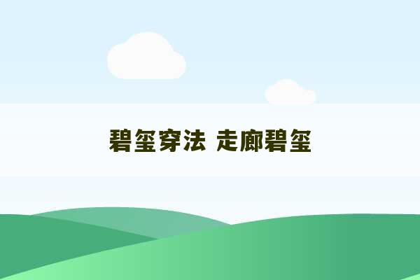 碧玺穿法 走廊碧玺-第1张图片-文玩群