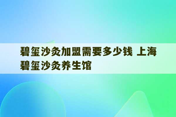 碧玺沙灸加盟需要多少钱 上海碧玺沙灸养生馆-第1张图片-文玩群