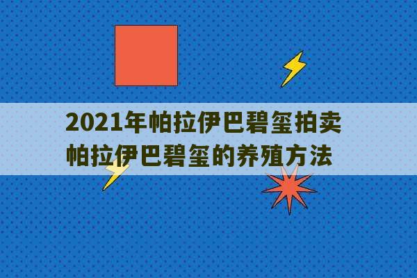 2021年帕拉伊巴碧玺拍卖 帕拉伊巴碧玺的养殖方法-第1张图片-文玩群