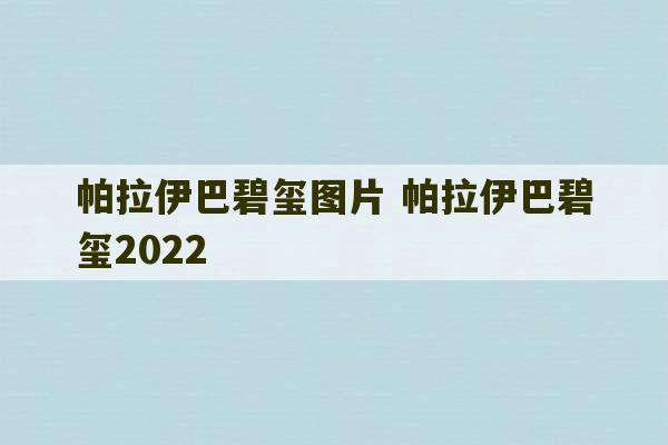 帕拉伊巴碧玺图片 帕拉伊巴碧玺2022-第1张图片-文玩群