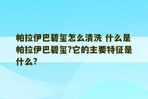 帕拉伊巴碧玺怎么清洗 什么是帕拉伊巴碧玺?它的主要特征是什么?-第1张图片-文玩群